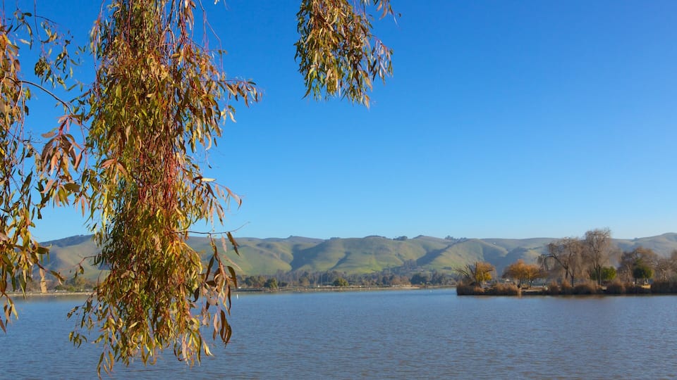 Fremont Central Park featuring a lake or waterhole, forest scenes and fall colors