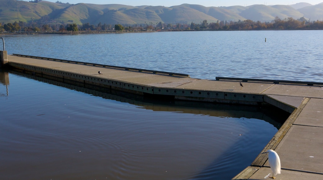 Fremont Central Park which includes landscape views, a park and a lake or waterhole