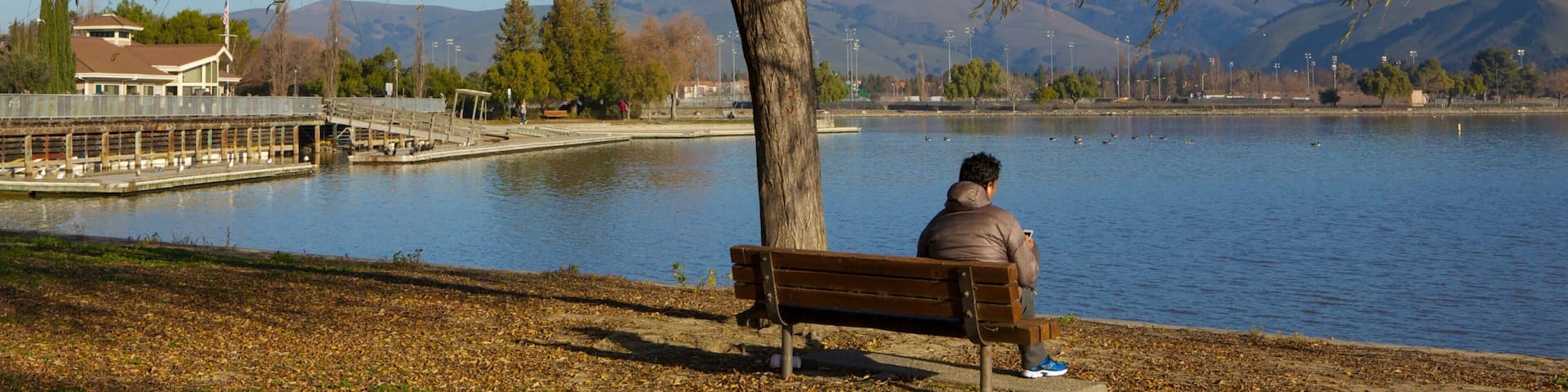 Fremont Central Park showing a garden, landscape views and a lake or waterhole