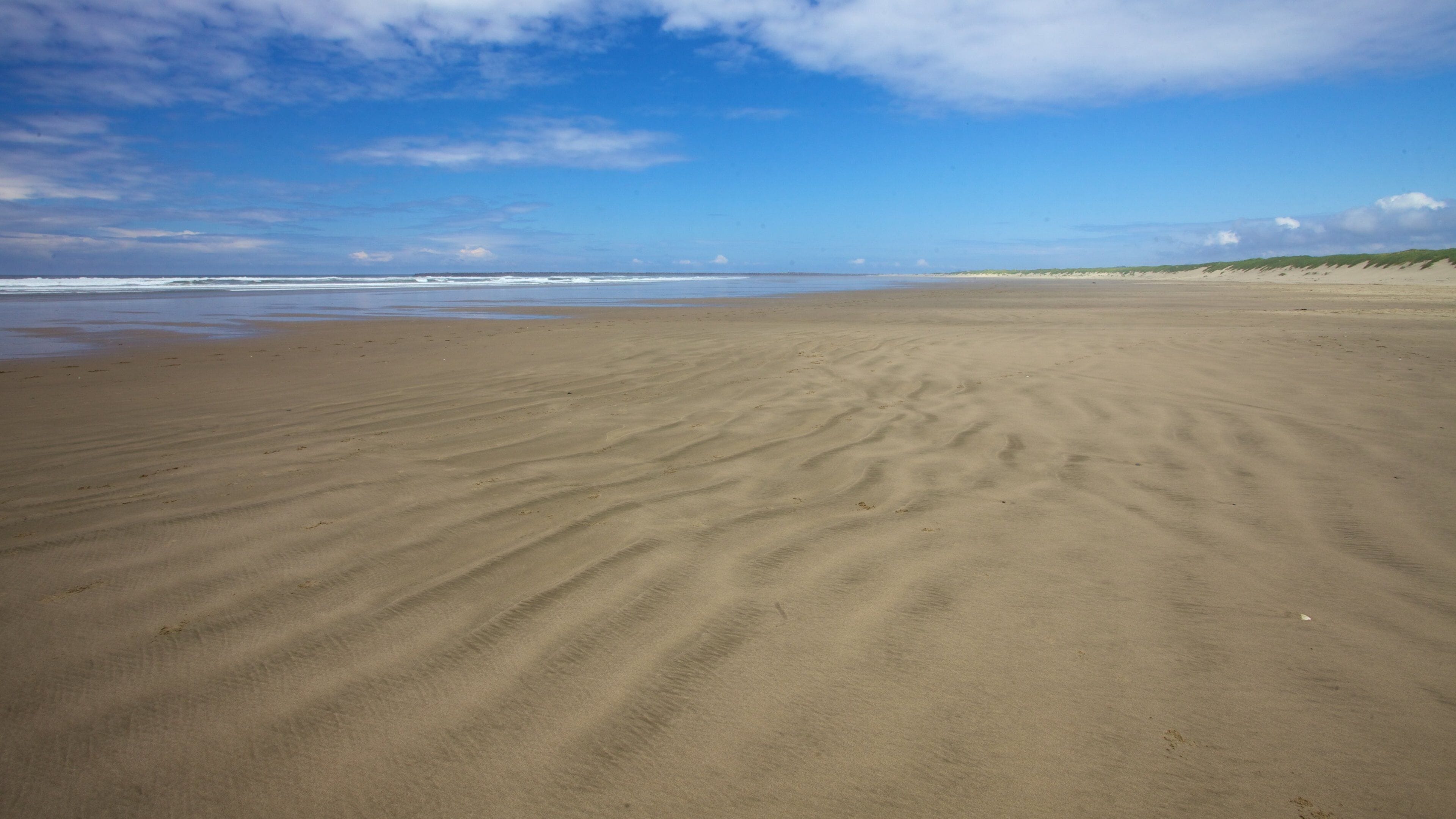 South Beach State Park showing a beach and landscape views