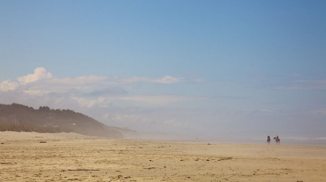 사우스 비치 스테이트 파크 을 특징 안개, 모래 해변 과 풍경