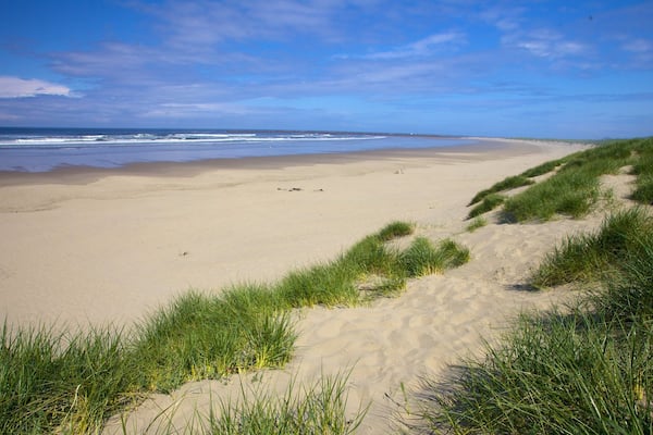 South Beach State Park mit einem Strand und Landschaften
