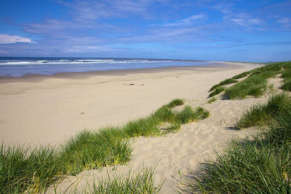 A sandy beach with green dunes and the ocean in the background.