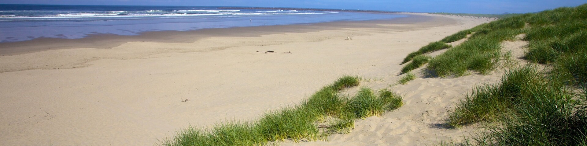 South Beach State Park mit einem Strand und Landschaften