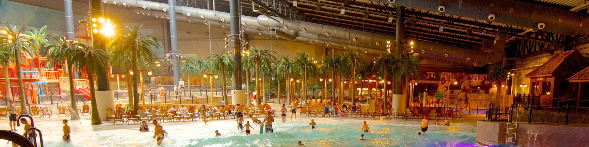 Wasserpark Lalandia das einen Innenansichten, Wasserpark und Pool