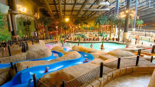 Lalandia Water Park which includes a waterpark, interior views and a pool