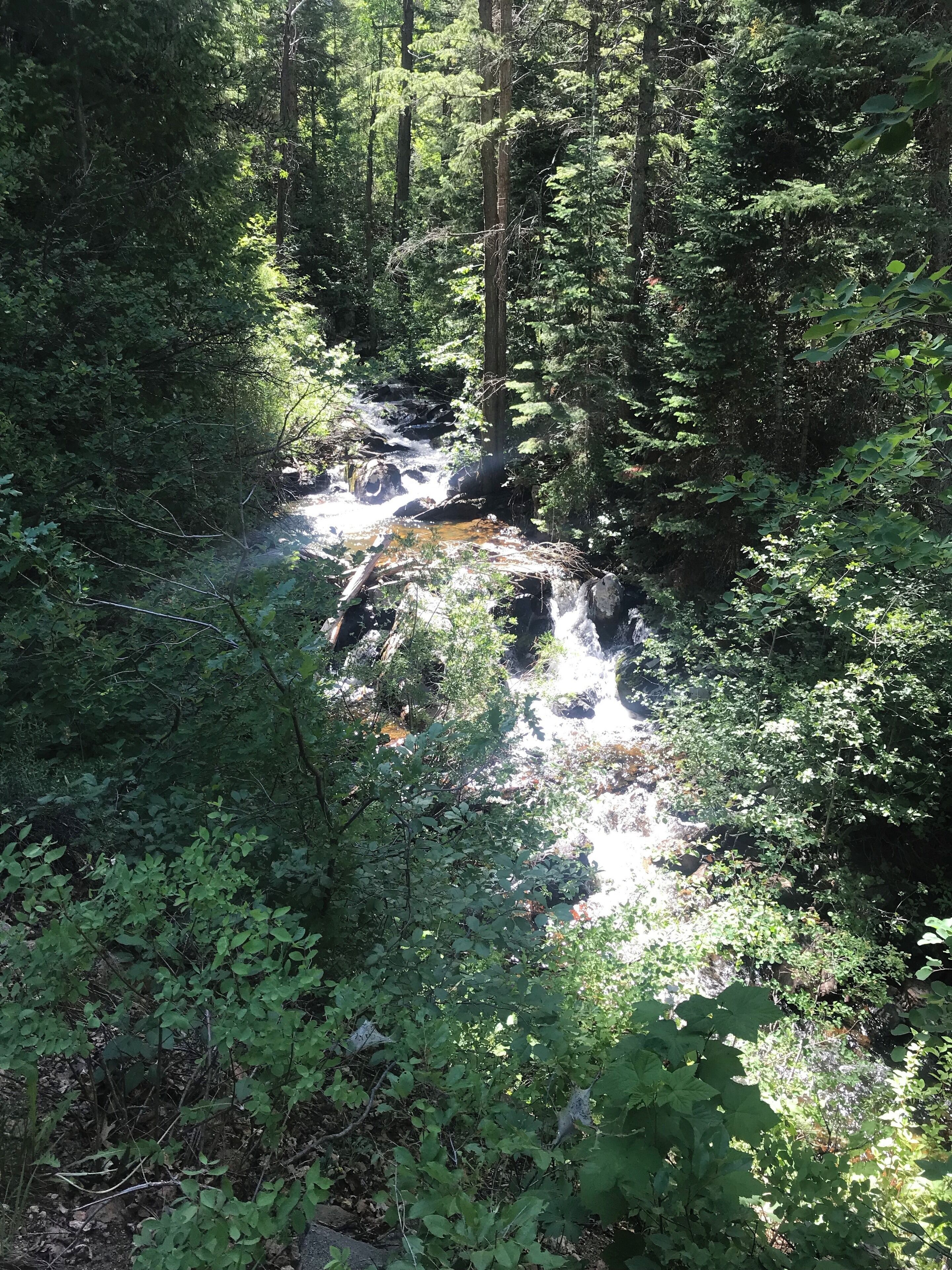We hiked into strawberry springs to get in free! It’s a back road hike that leads you twisting and turning to the back doors of strawberry springs! It was beautiful! #adventure