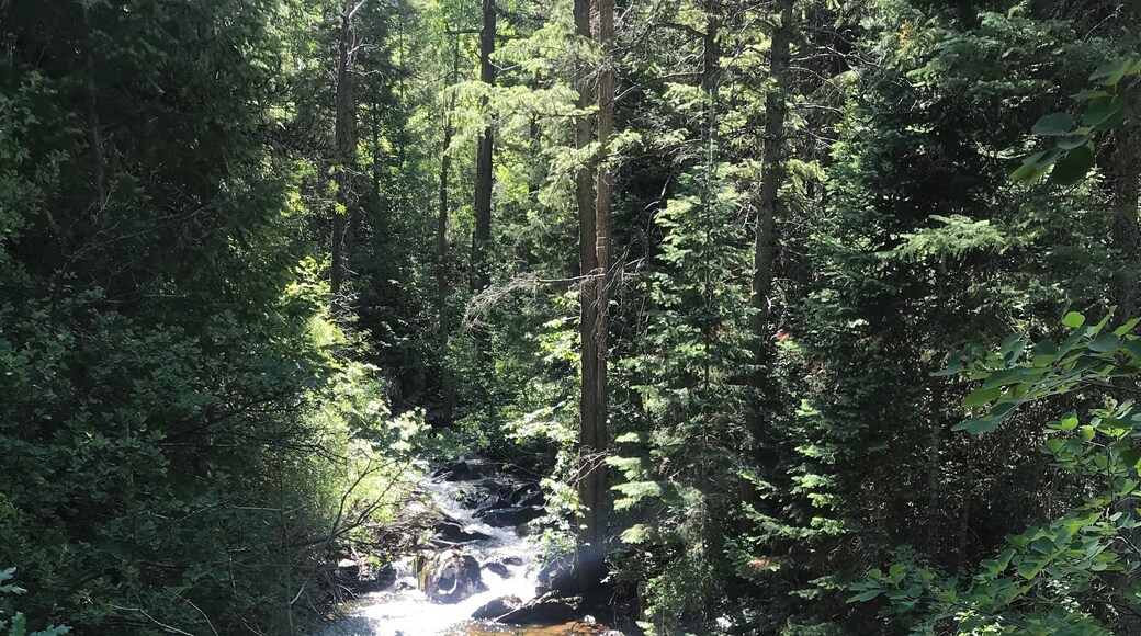 We hiked into strawberry springs to get in free! It’s a back road hike that leads you twisting and turning to the back doors of strawberry springs! It was beautiful! #adventure
