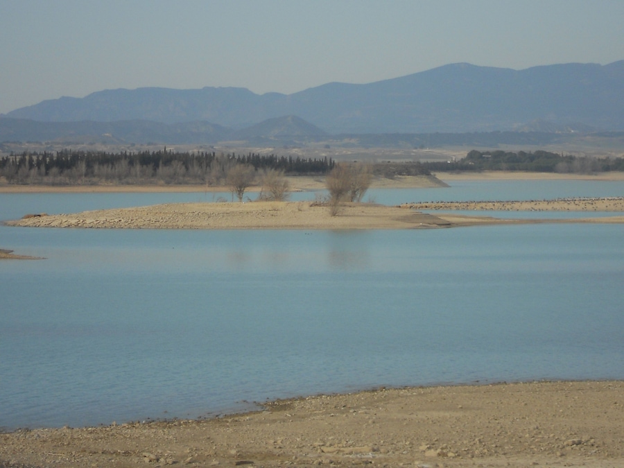 A river with a sandy bank and a lone tree in the middle. Mountains are visible in the background.
