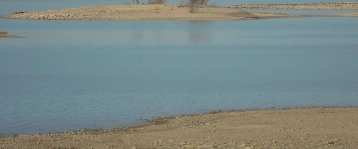 A river with a sandy bank and a lone tree in the middle. Mountains are visible in the background.