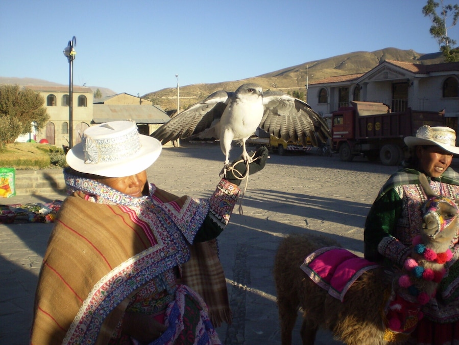 This tiny town, Yanque, is a stop in our way to the Colca Canyon. At the plaza, women brightly dressed exhibit her birds and llamas, and offer to take a photo.
