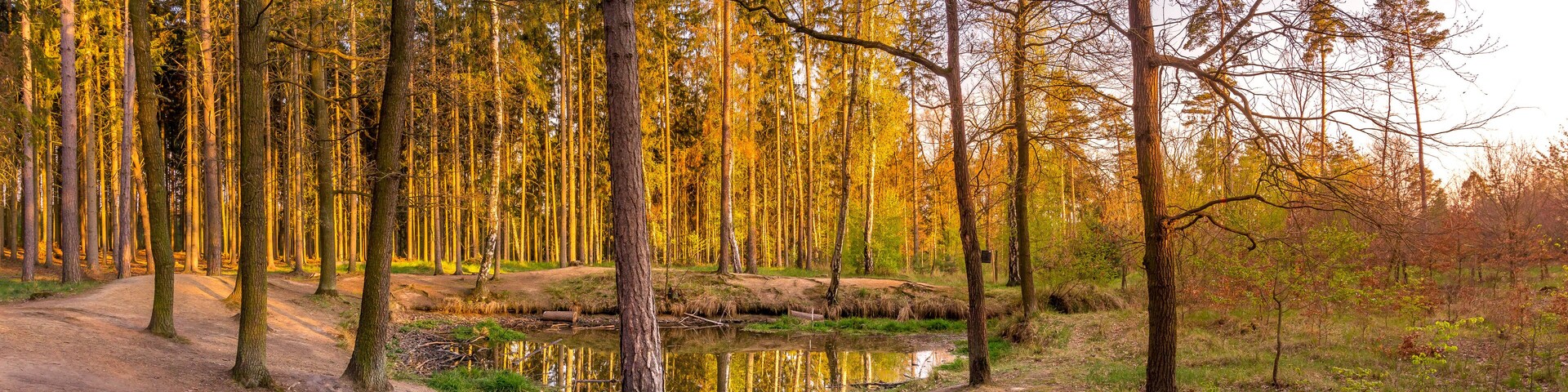 Kunratice forest - beautiful green park with pond and path during sunset in Prague (secret gem, popular travel destination in Czech Republic, Europe)