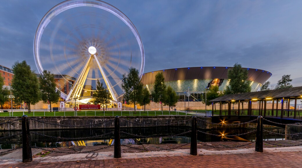 Liverpool Wheel by Night