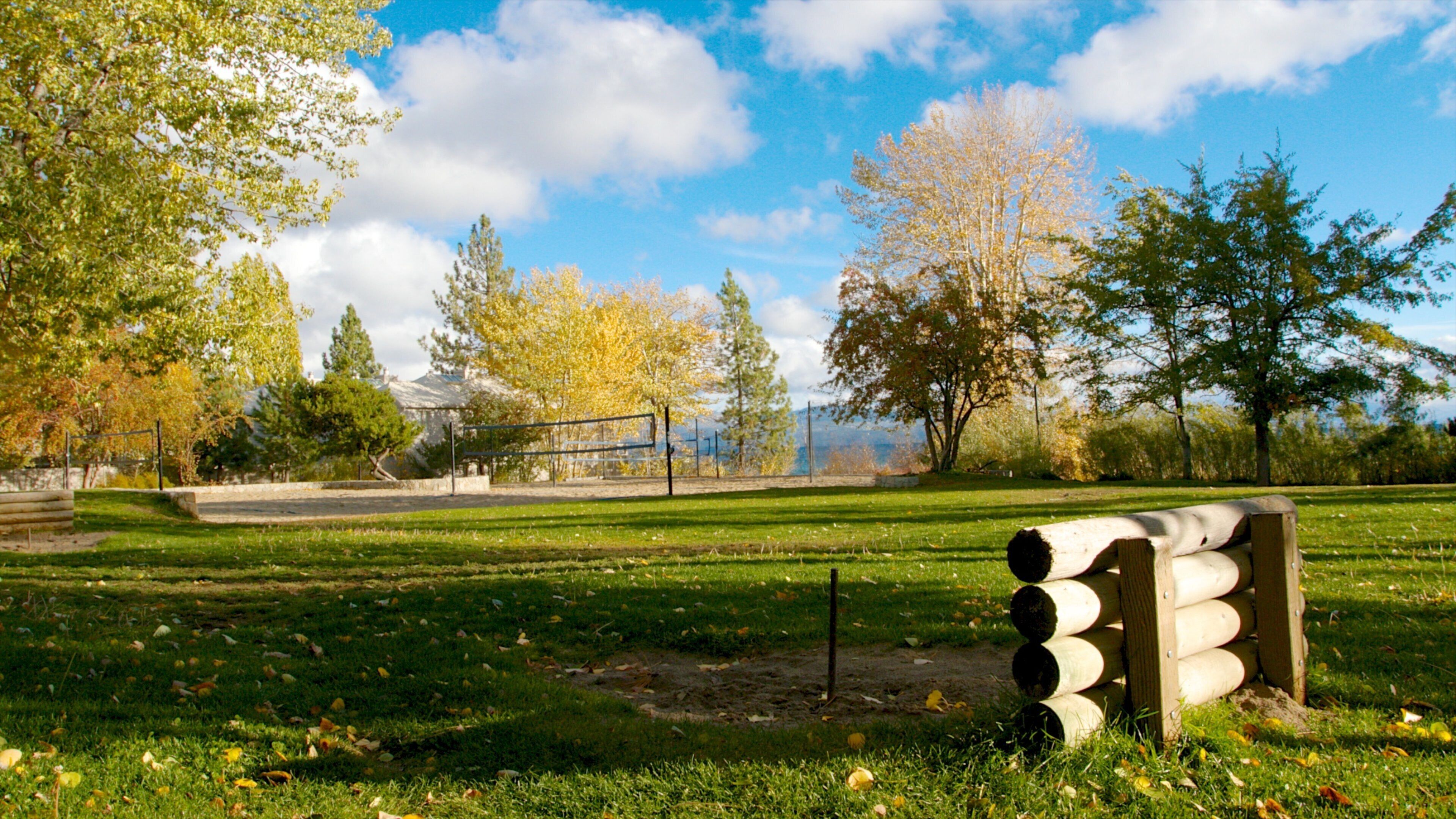Kings Beach State Recreation Area bevat landschappen en een park