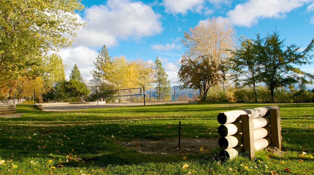 Kings Beach State Park which includes landscape views and a park