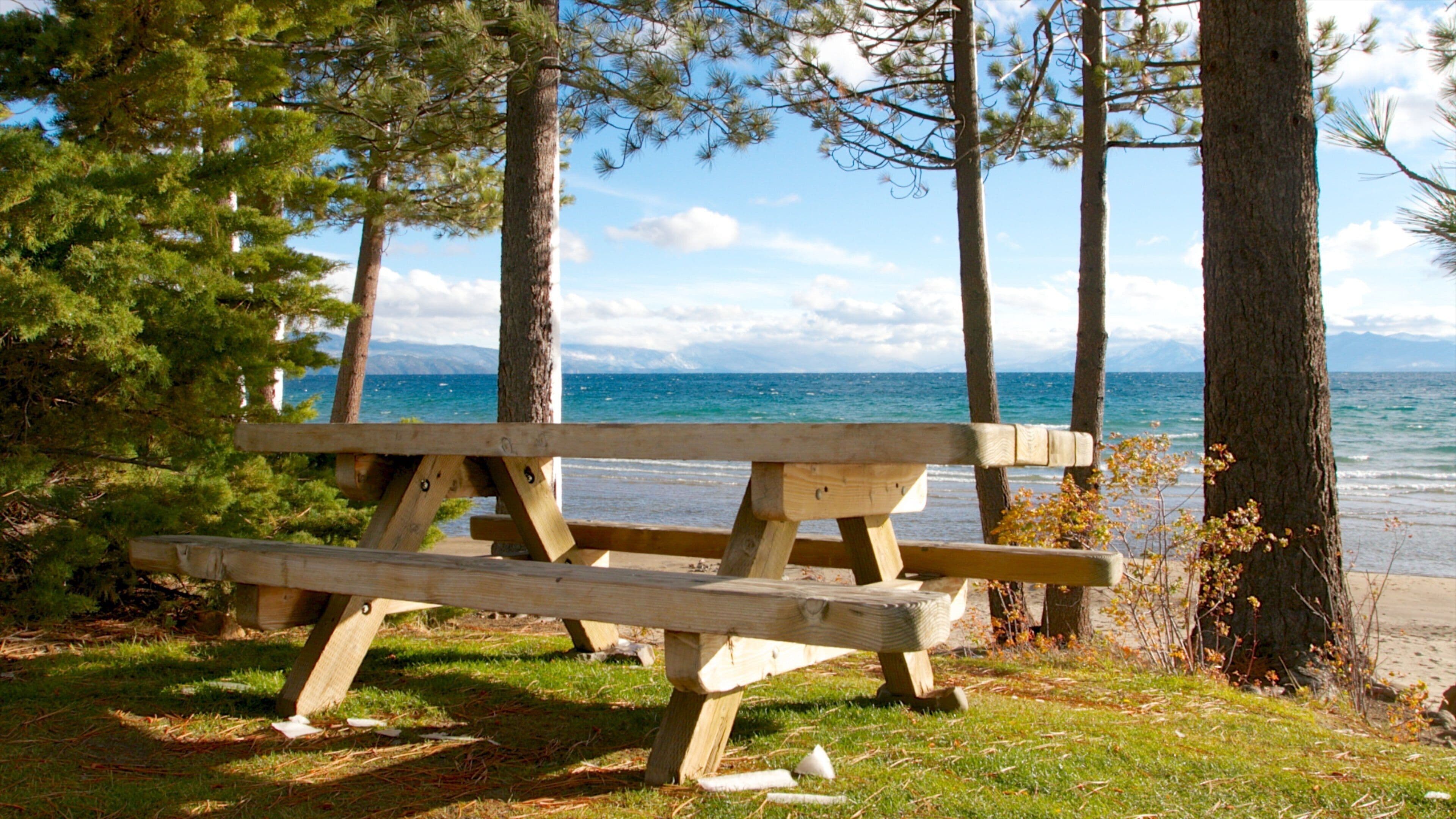 A wooden bench by a lake with trees and mountains in the background.