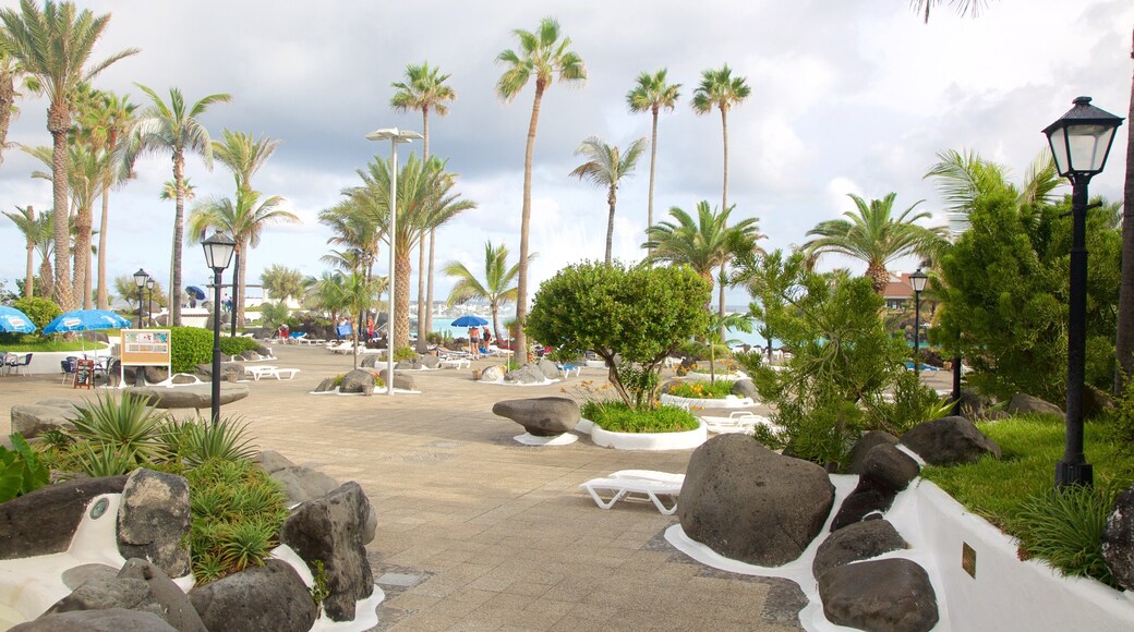 Lago Martianez Swimming Pools which includes a luxury hotel or resort