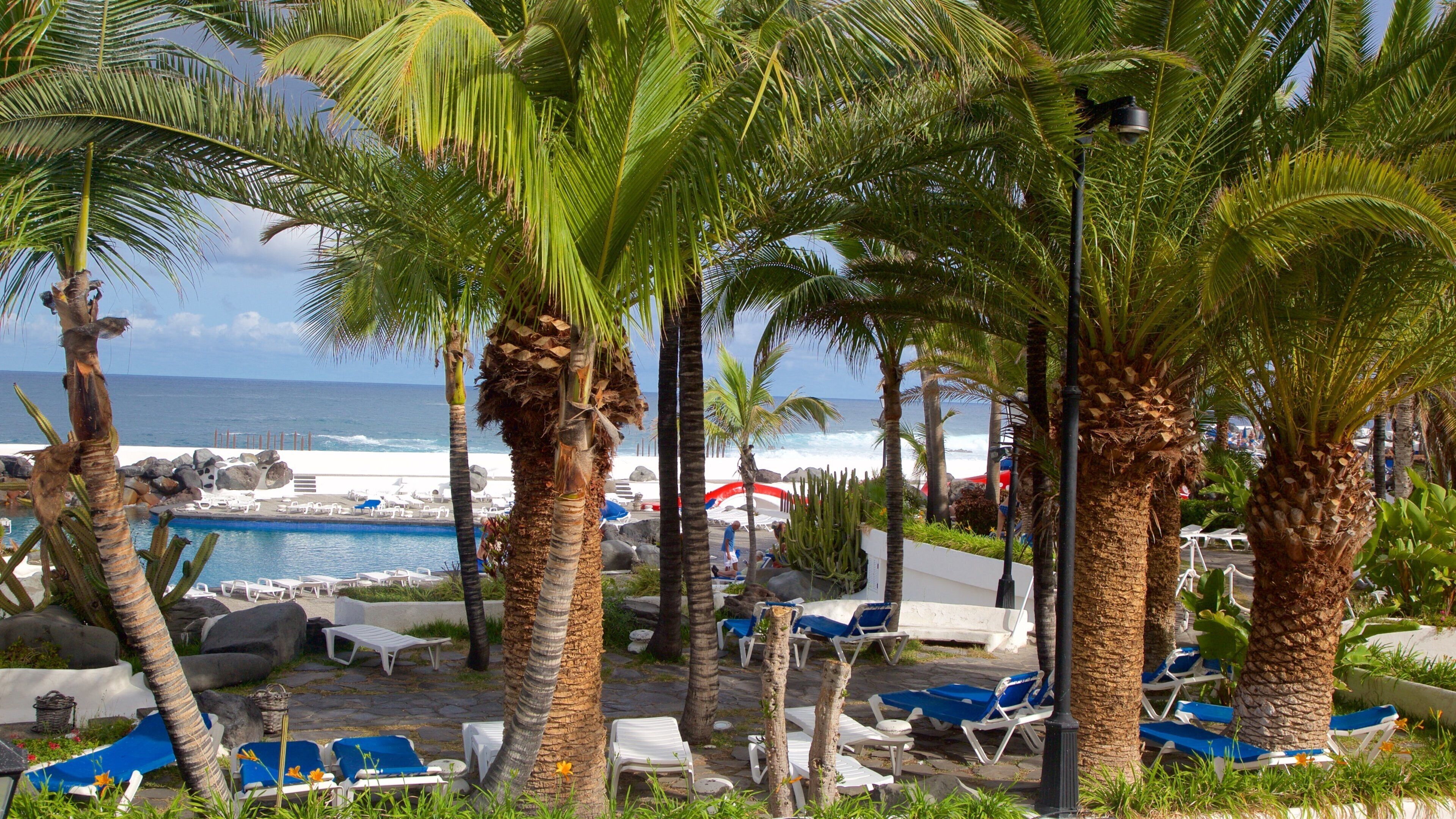 Lago Martianez svømmebasseng som viser luksushotell eller resort og svømmebasseng