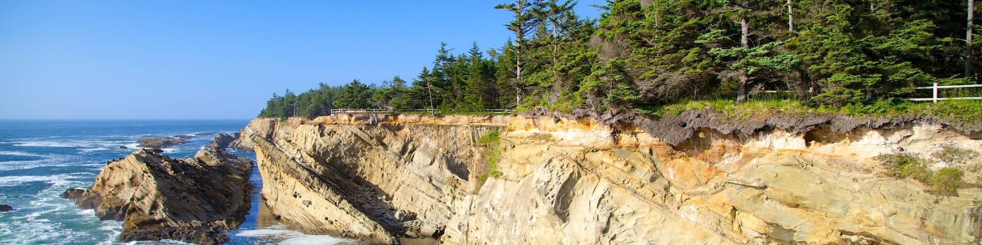 Shore Acres State Park che include costa rocciosa e vista del paesaggio