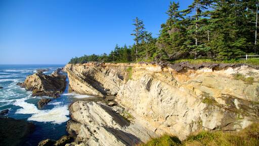 Shore Acres State Park og byder på barsk kystlinje og udsigt over landskaber