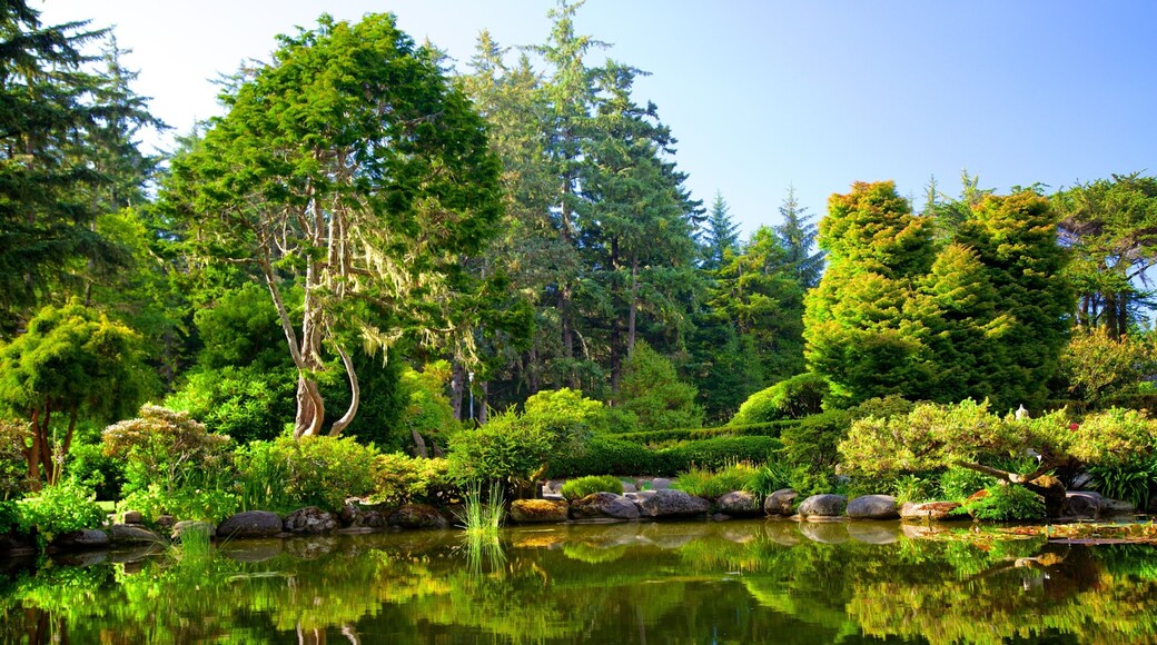 Parque estatal Shore Acres que incluye un estanque y bosques