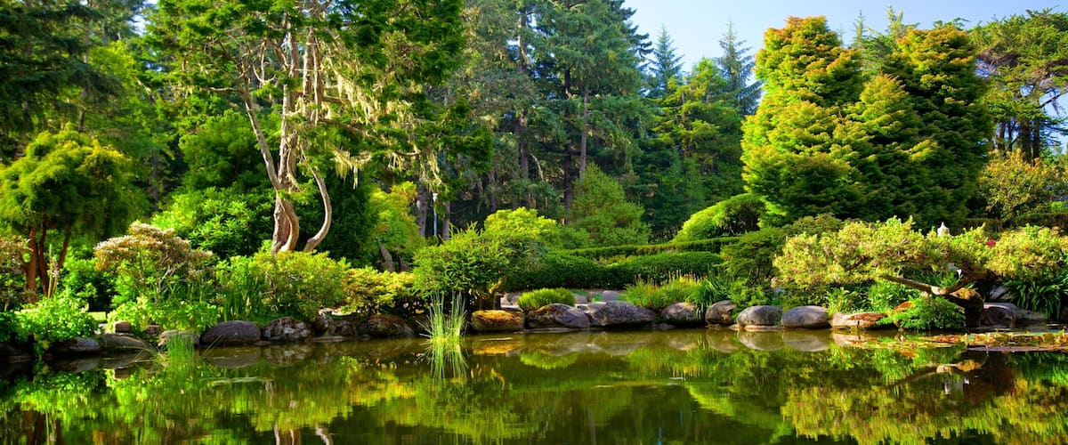 Shore Acres State Park das einen Waldmotive und Teich