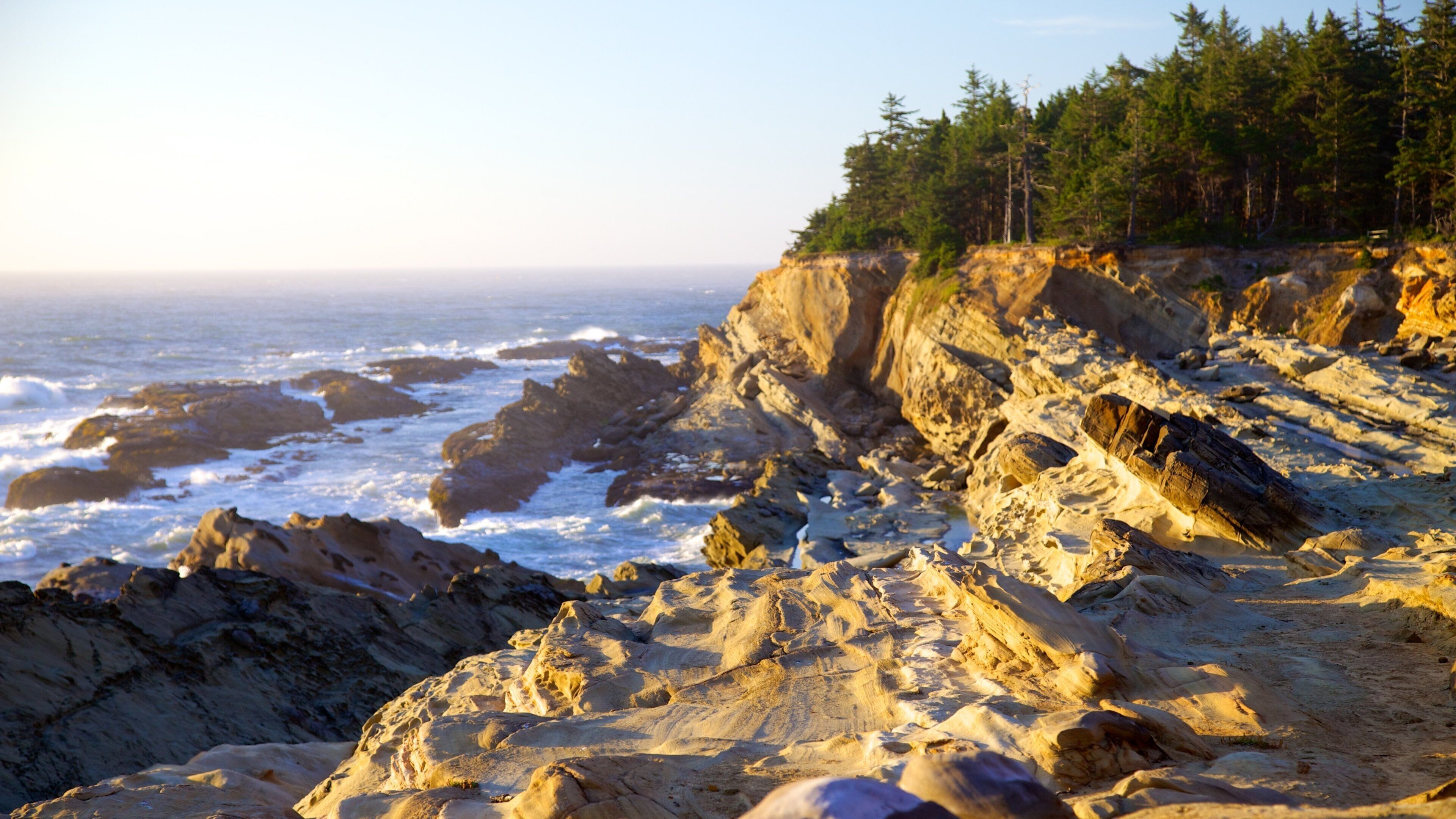 Shore Acres State Park featuring landscape views and rugged coastline