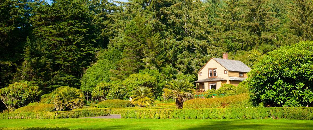 Shore Acres State Park which includes forest scenes and a park