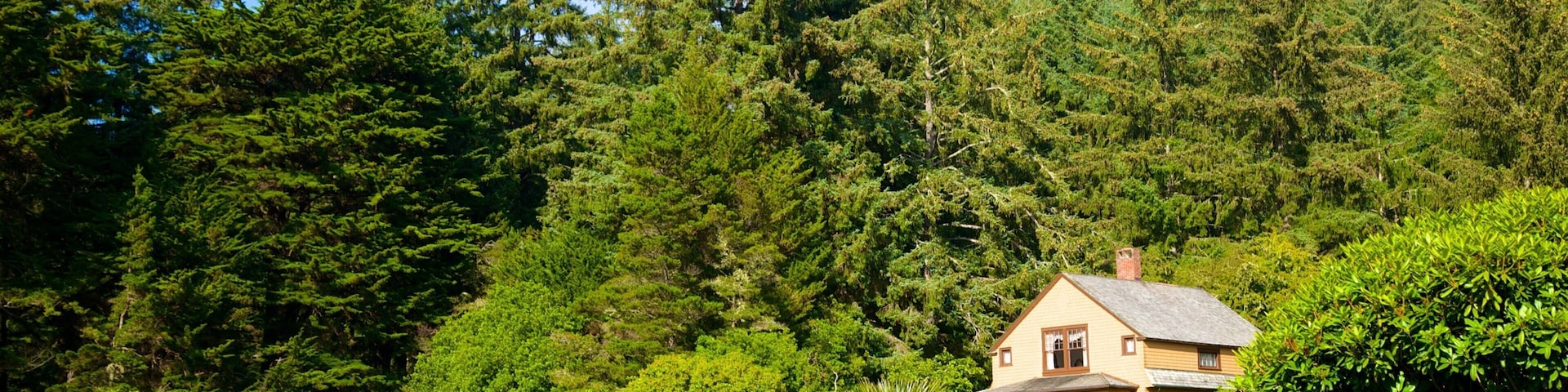 Shore Acres State Park que inclui um parque e cenas de floresta