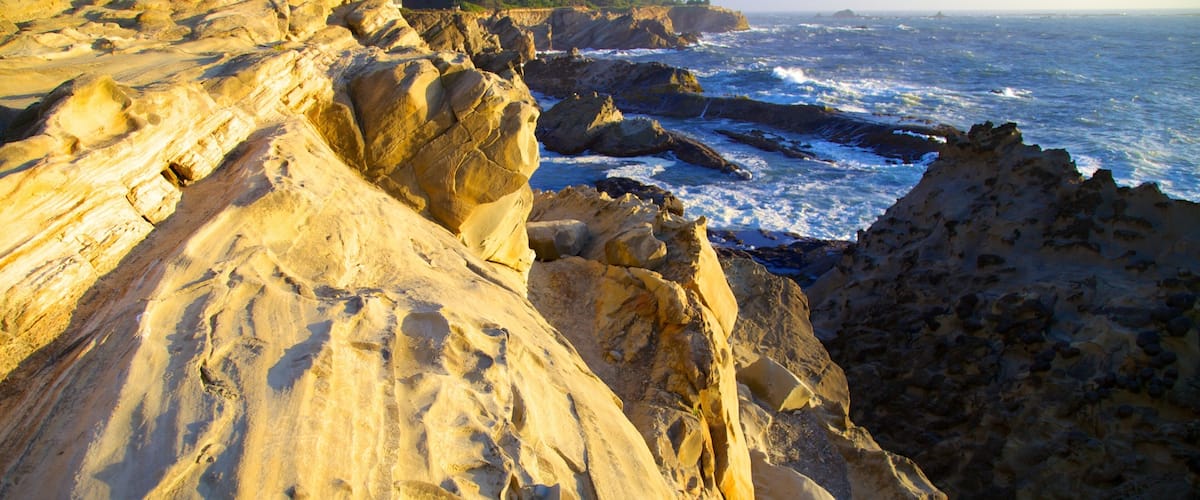 Shore Acres State Park showing rocky coastline