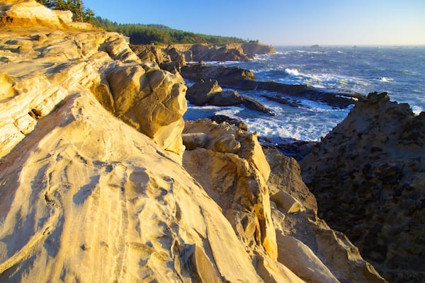 Shore Acres State Park showing rocky coastline