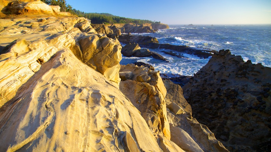 Shore Acres State Park featuring rocky coastline