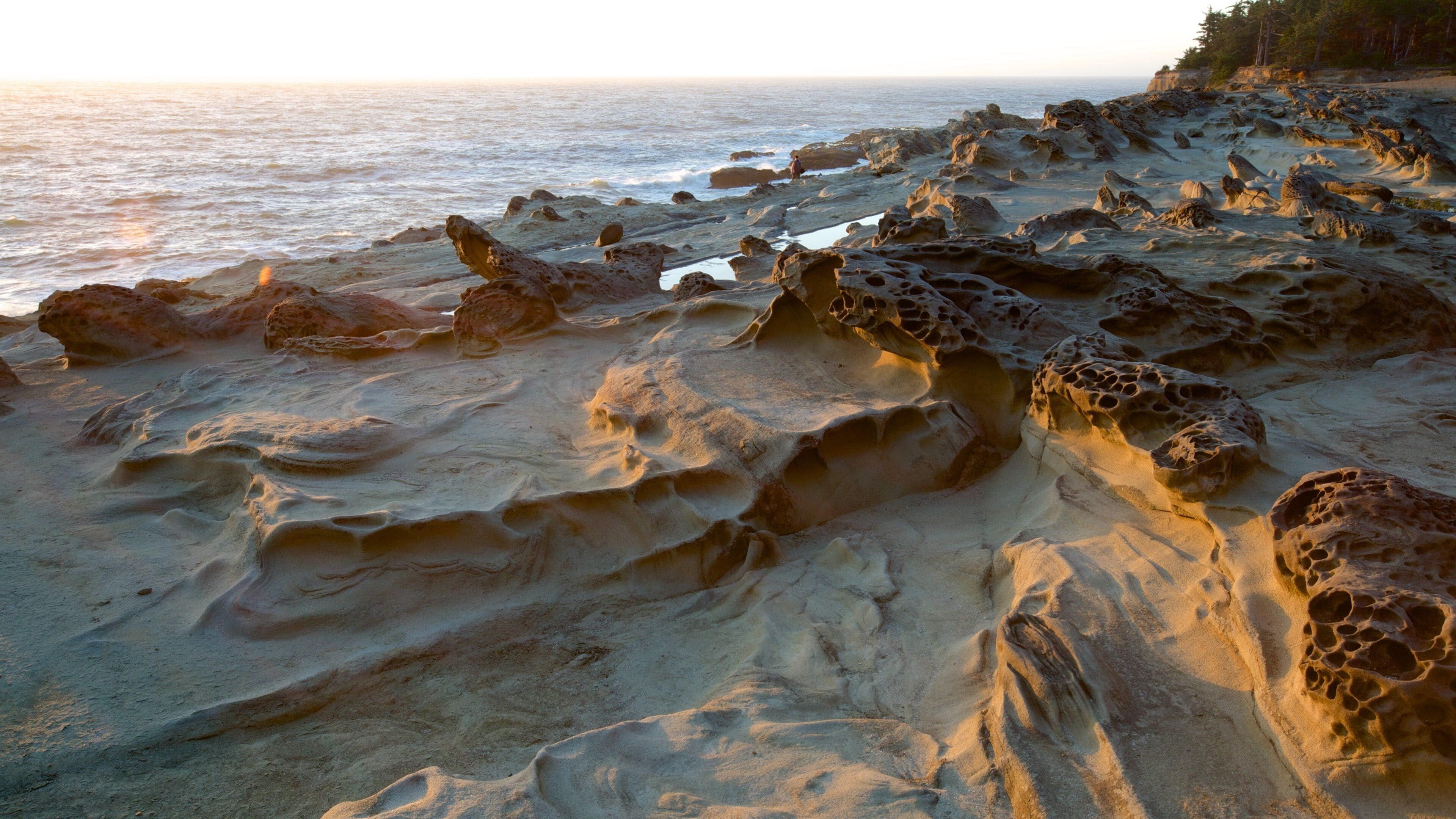 A rocky shoreline with unique formations and a distant view of the ocean.