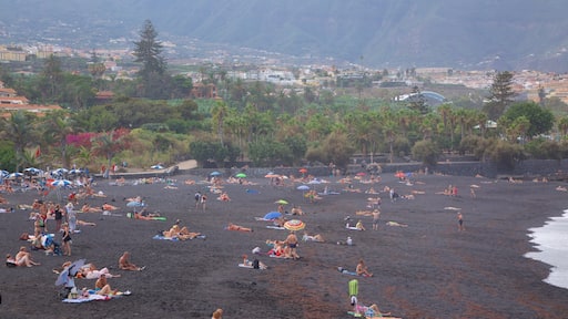 Playa Jardín mostrando vistas de una costa