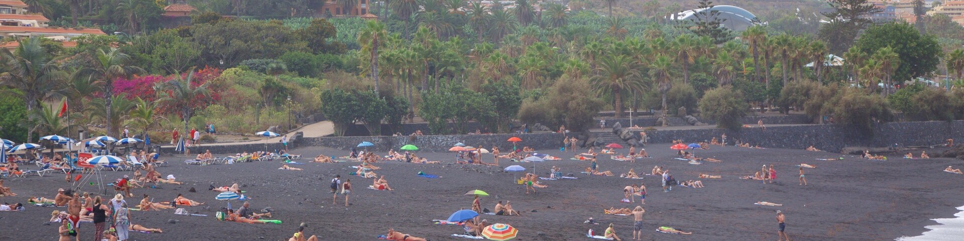 Playa Jardín mostrando vistas de una costa