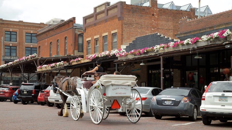 Old Market featuring cuddly or friendly animals, land animals and heritage elements