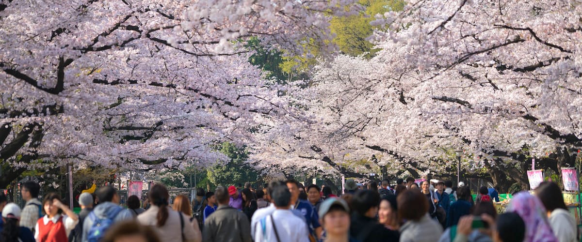 Ueno Park is a large public park near Ueno Station in central Tokyo.