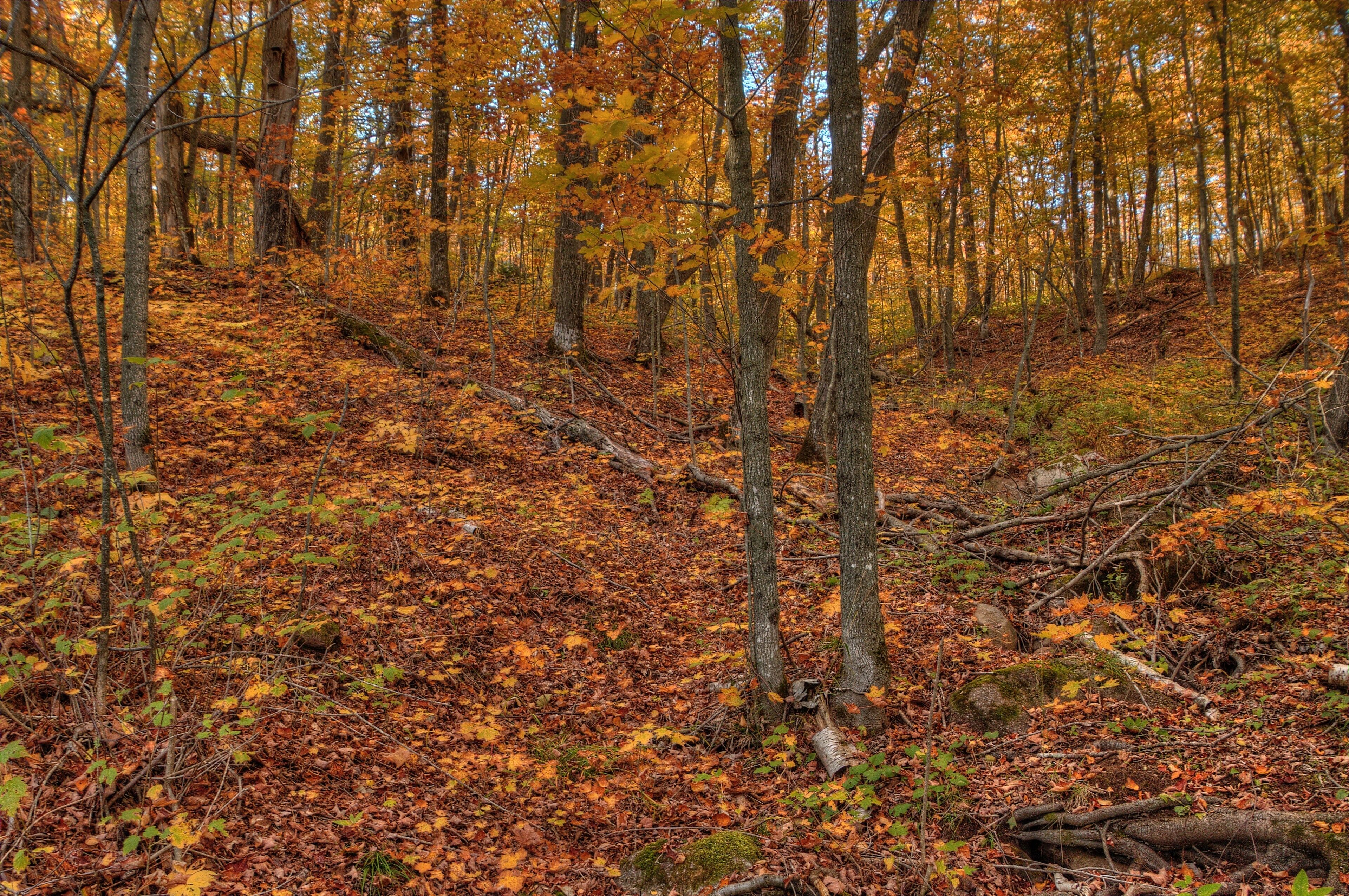 Oberg Mountain is part of the Sawtooth Range on the North Shore in Minnesota