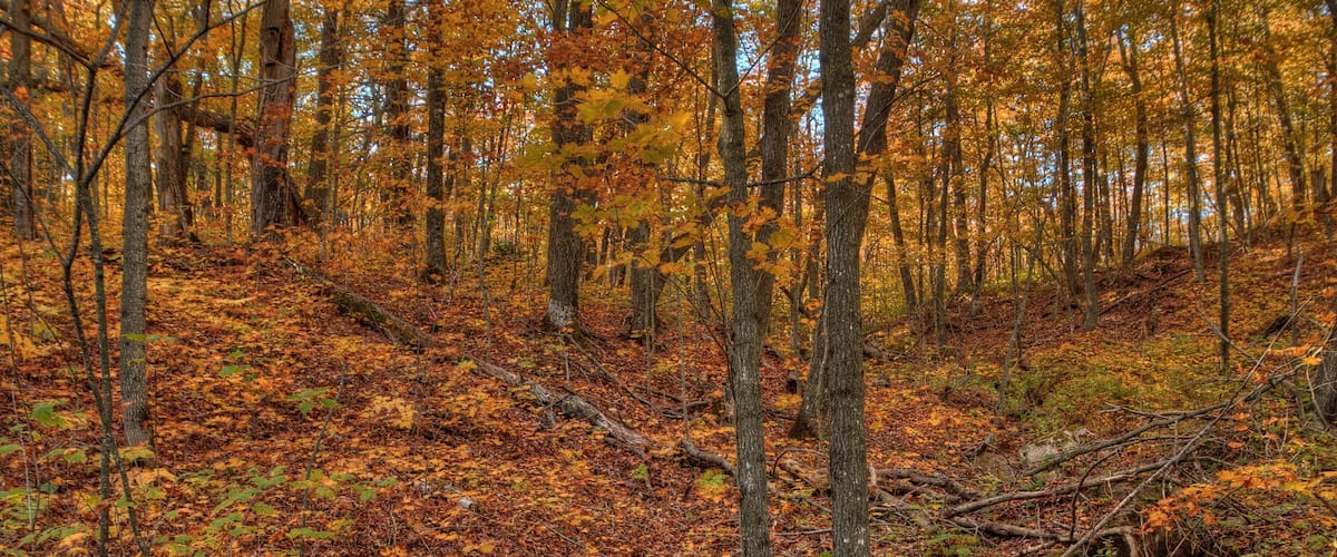 Oberg Mountain is part of the Sawtooth Range on the North Shore in Minnesota