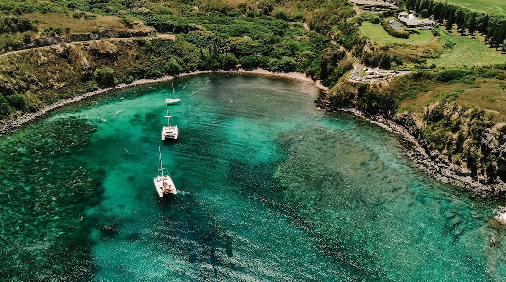 Honolua Bay West Maui, Hawaii - Sailboats & Snorkeling Aerial