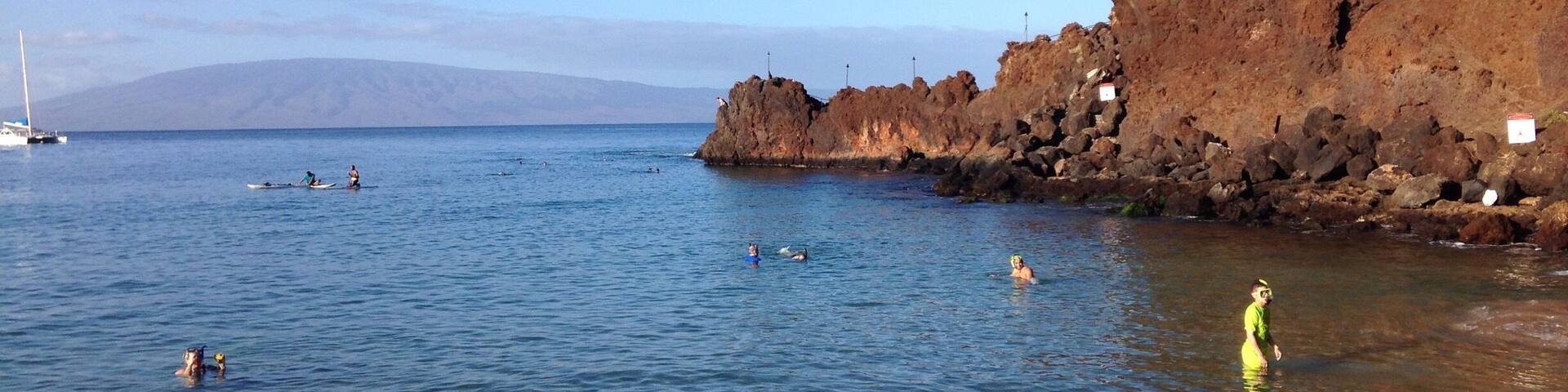 We rented snorkel gear just down the beach. Great snorkeling and you can hear the humpbacks song underwater.