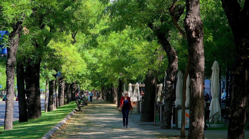 Paseo de la Castellana