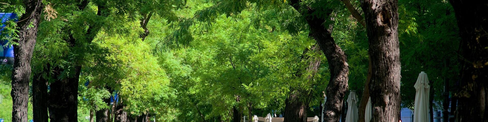 Paseo de la Castellana