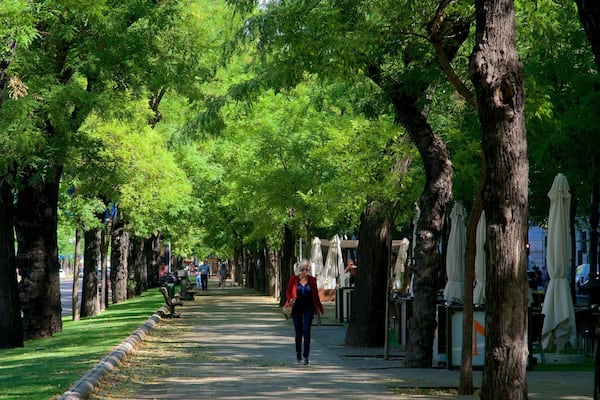 Paseo de la Castellana