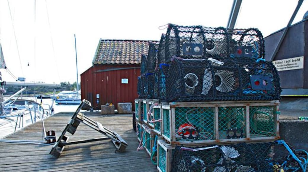 Summer at Koster island can be great!