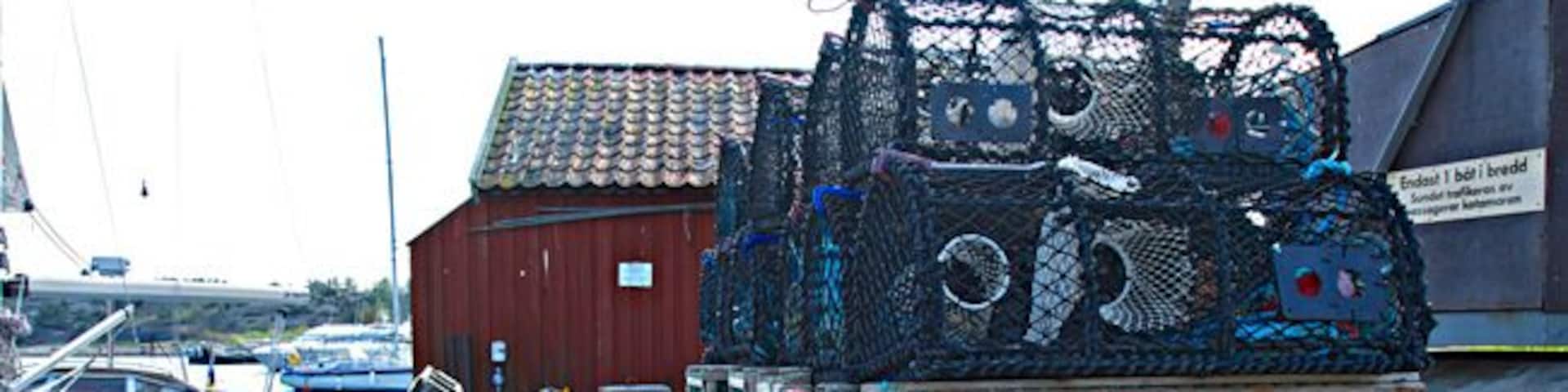 Summer at Koster island can be great!