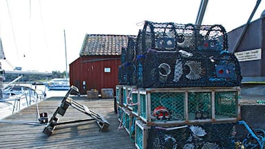 A wooden dock with lobster traps and a red building in the background.
