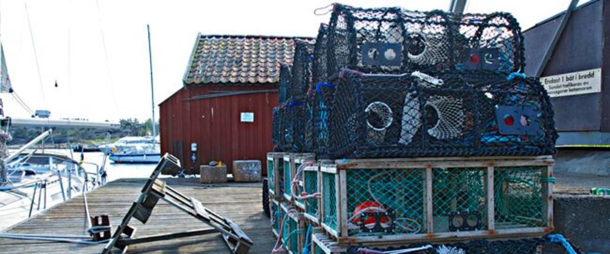 A wooden dock with lobster traps and a red building in the background.