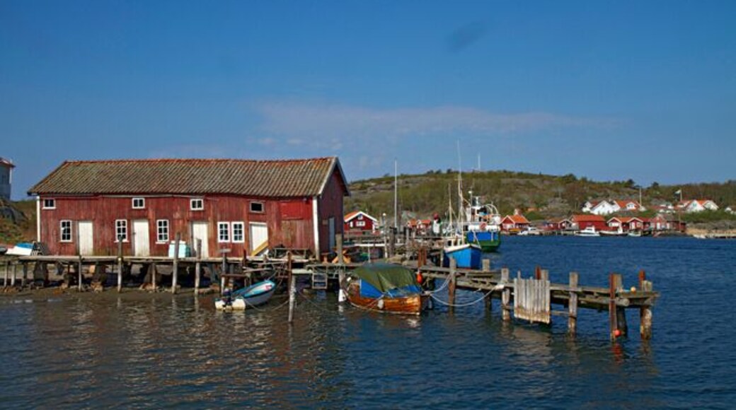 Summer at Koster island can be great!