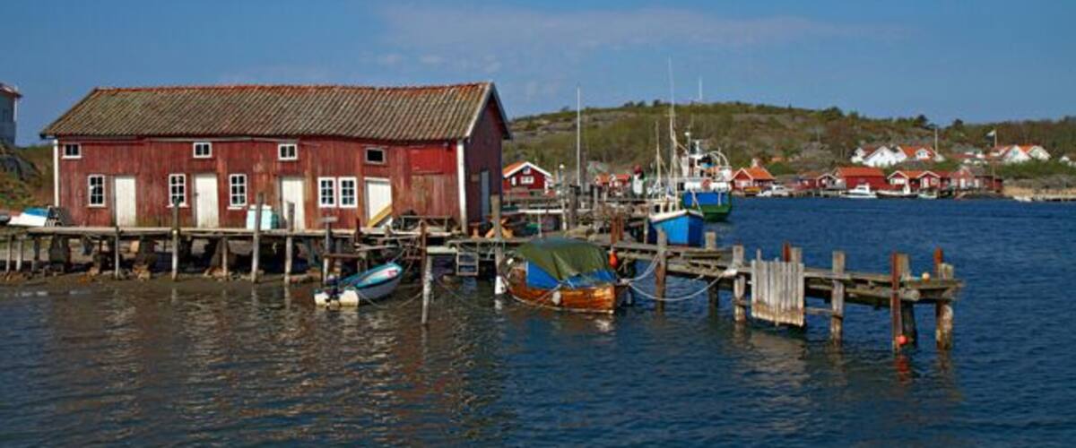 Summer at Koster island can be great!